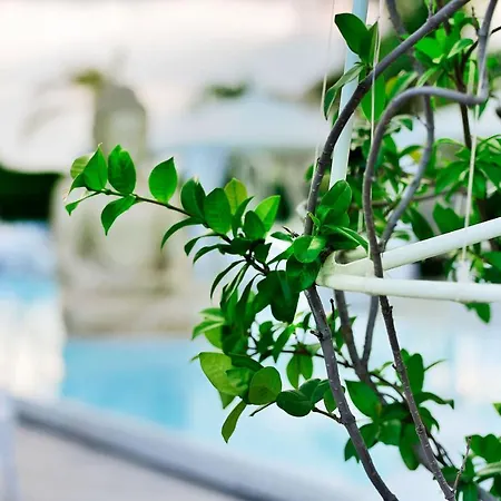 La Fenice Reggio di Calabria