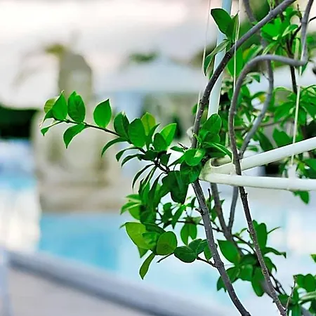 La Fenice Hotel