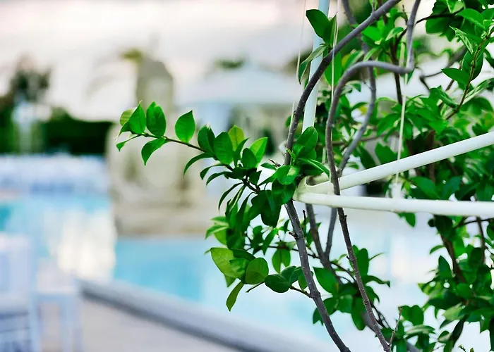 La Fenice Reggio di Calabria